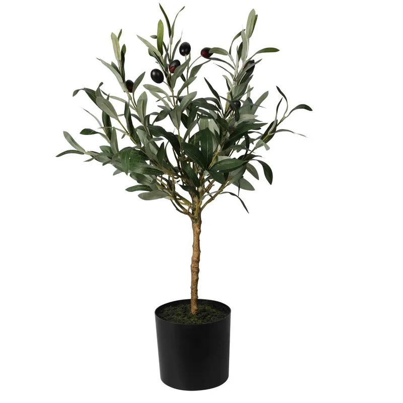 Oliwne Drzewko W Donicy 66 cm