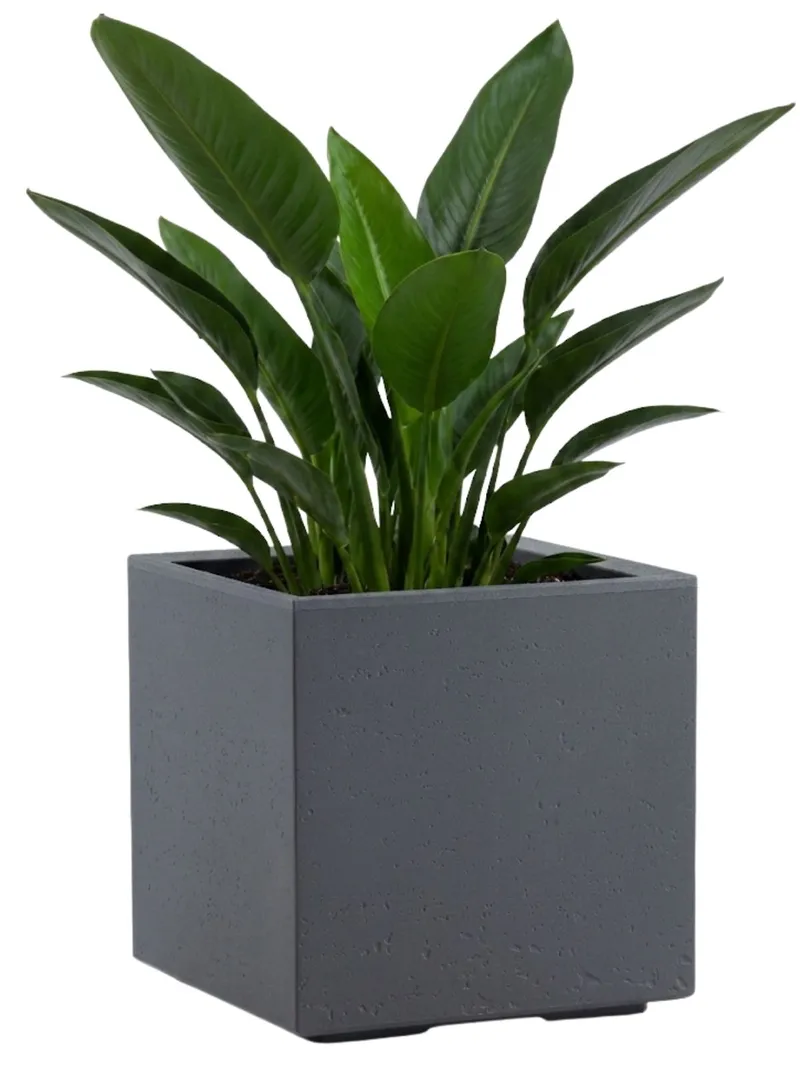 Donica Betonique Na Kółkach Recykling Beton 30X30XH30 cm - Szary
