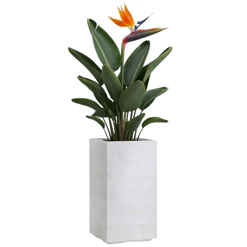 Donica Betonique Na Kółkach Deska Recykling 30X30XH60 cm - Kremowy