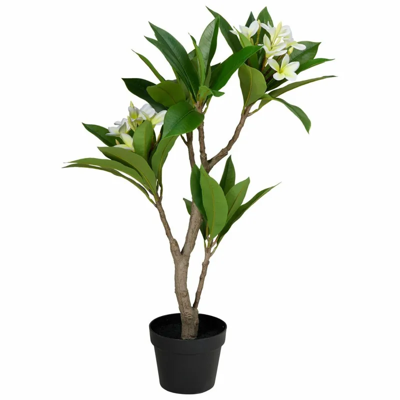 Sztuczne Drzewko Frangipani 90 cm W Doniczce - Biała