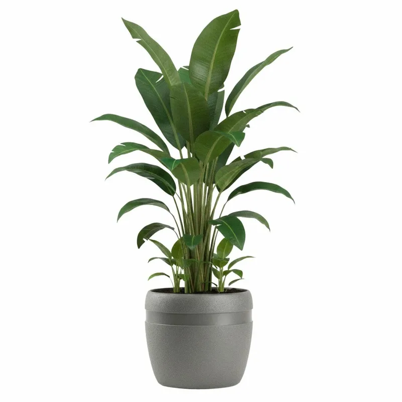 Donica LUNA CLASSIC Antracyt 32,8 cm
