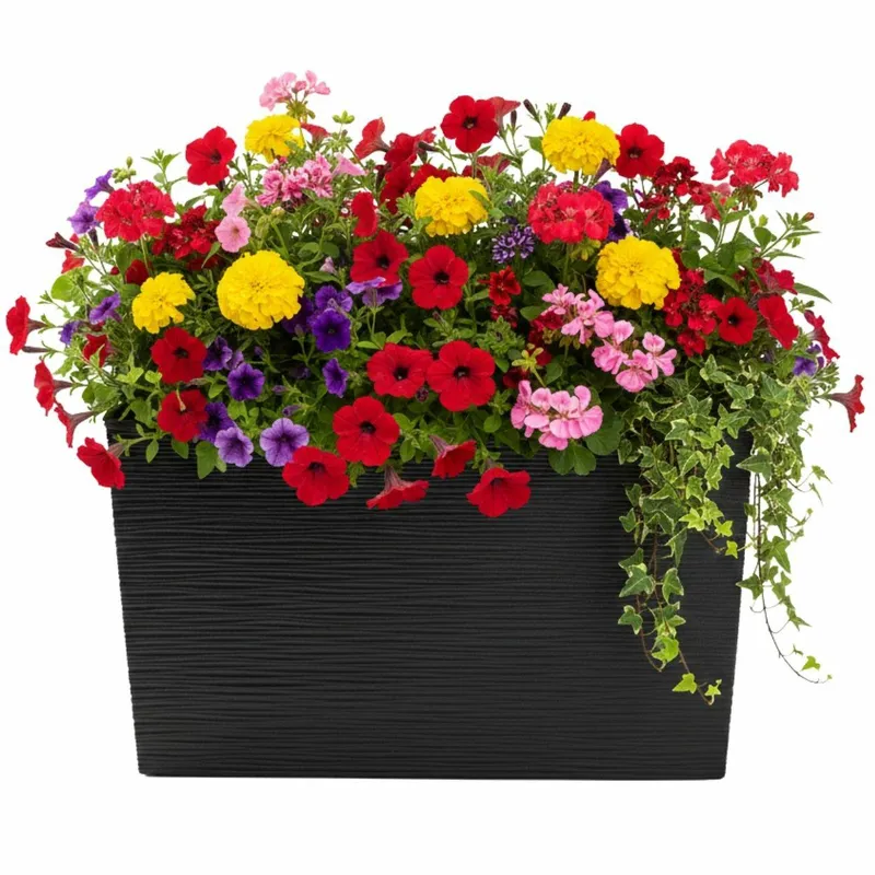 Donica Bloom Riflo H36,2X56,1CM - Czarny