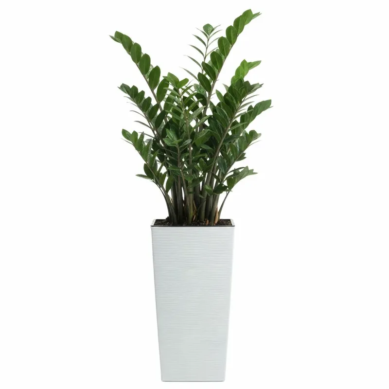 Donica Porto Riflo H46,5X24,7X24,7 cm - Biała
