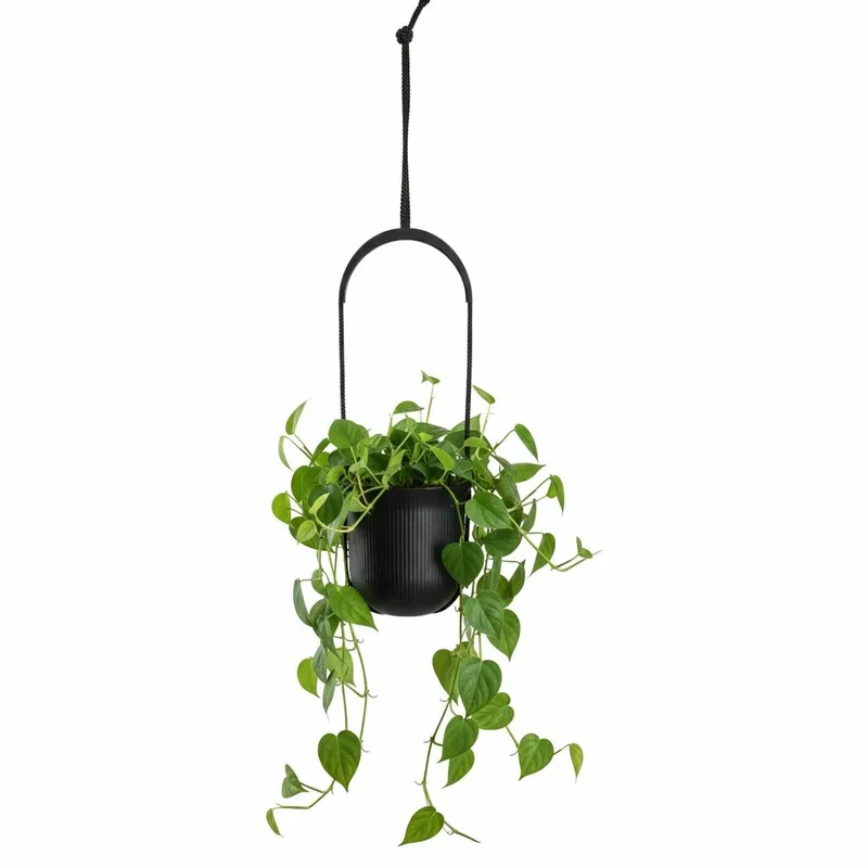 Donica Wisząca AERA HANG Recykling 17,9 cm - Czarna