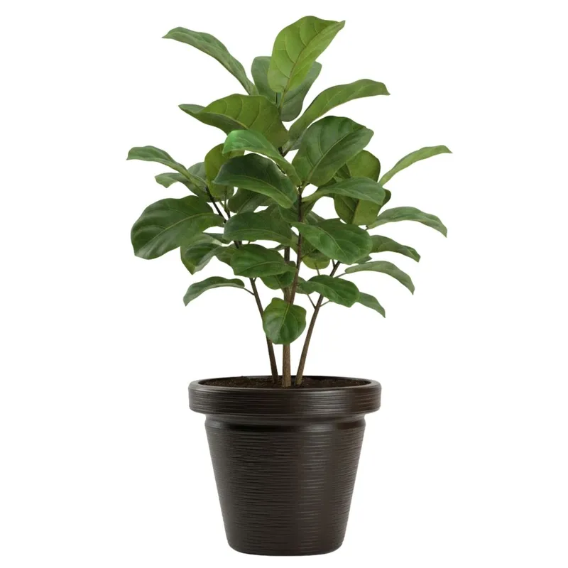 Donica Srtia Riflo Mokka H40X46 cm
