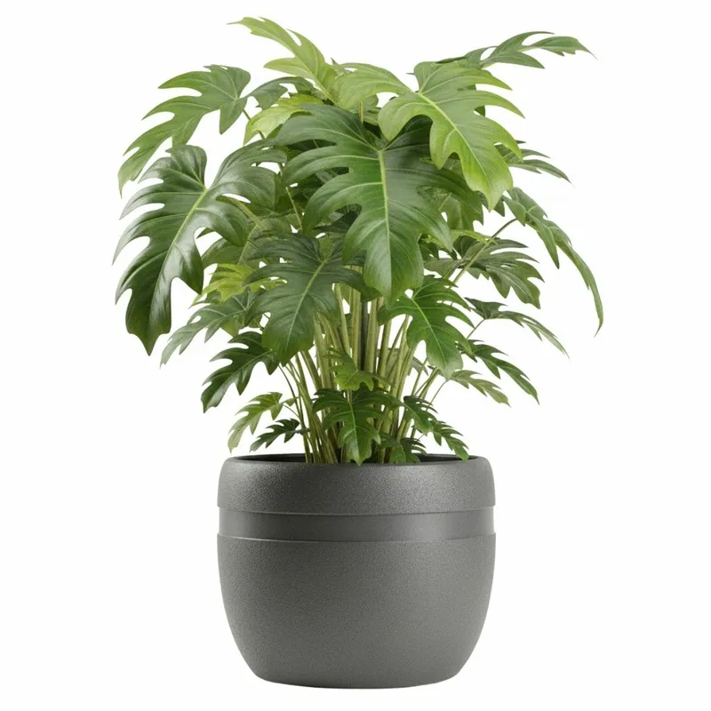 Donica LUNA CLASSIC Antracyt 40 cm
