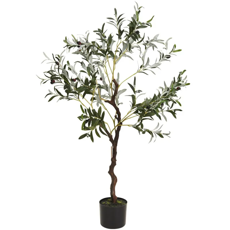 Oliwne Drzewko W Donicy Duże 120 cm