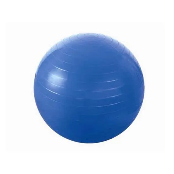 YB01 (Pg 55cm) Piłka Gimnastyczna