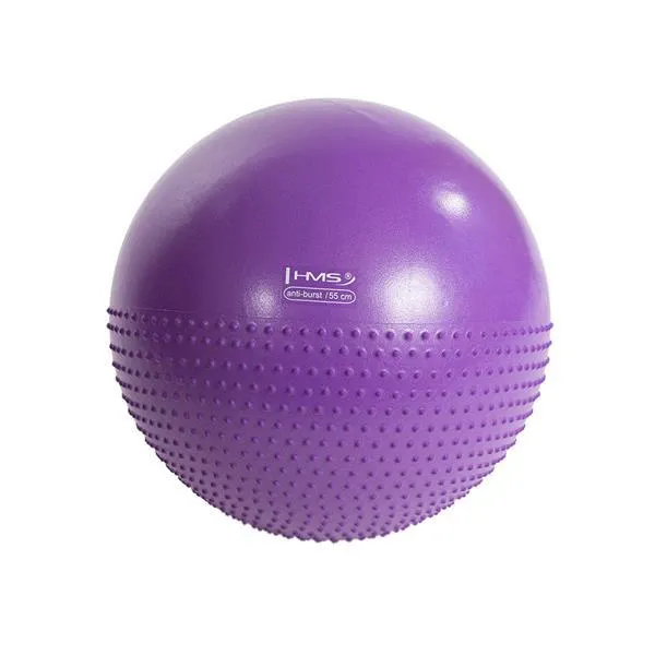 YB03 55cm Purple Piłka Gimnastyczna Masujaca Hms
