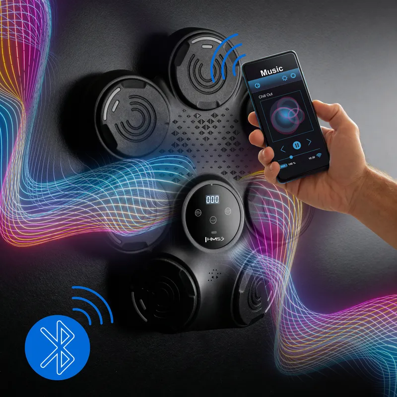 TB30 Elektroniczna Tarcza Bokserska Bluetooth Z Muzyką I Rękawicami Hms