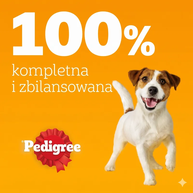 PEDIGREE Dogcare Karma Dla Psa W Saszetkach – Kawałki W Sosie, Dla Dorosłych Psów (Adult)