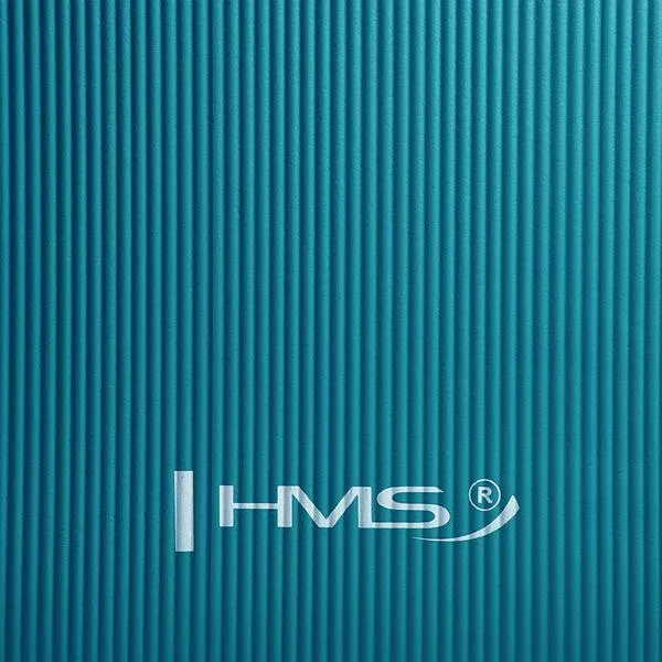 YM07 Mint Mata Do Jogi Hms