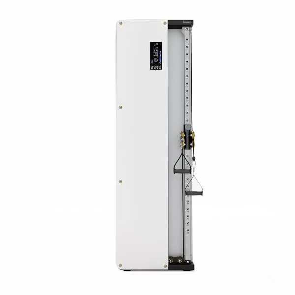 BSP301 Brama Przyścienna Treningowa Pneumatyczna Commercial Hms