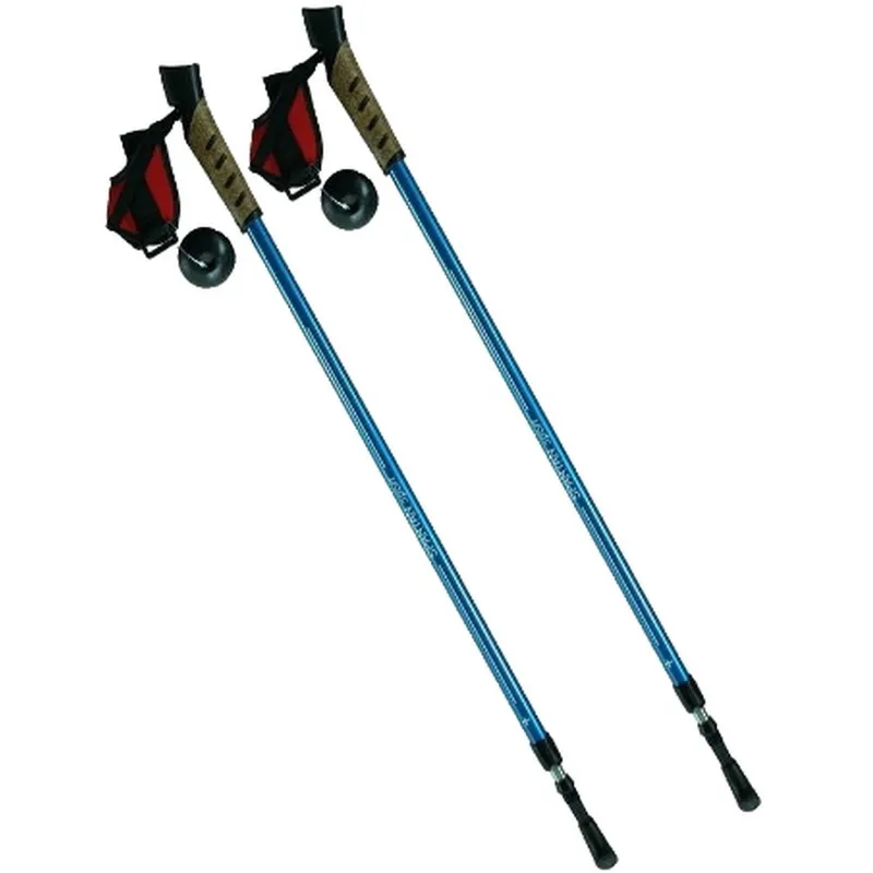Kije Nordic Walking 2-SEKFENCJE Niebieskie