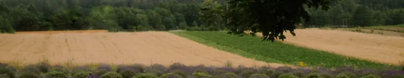 Zestaw DWORZYSK Spokojny Dzień