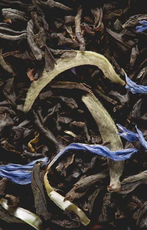 Herbata DAMMANN Earl Grey Yin Zhen 50 Saszetek - Czarna