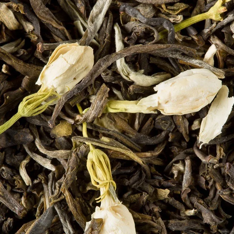 Herbata DAMMANN Jasmine 24 Saszetki - Zielona