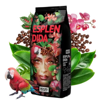 Kawa Ziarnista BEANS REPUBLIC Esplendida 1kg