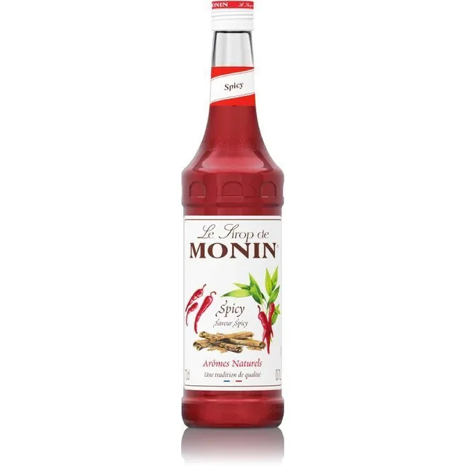 Syrop SPICY MONIN 0,7 l - Korzenny
